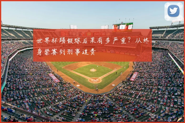 世界杯踢假球后果有多严重?从终身禁赛到刑事追责