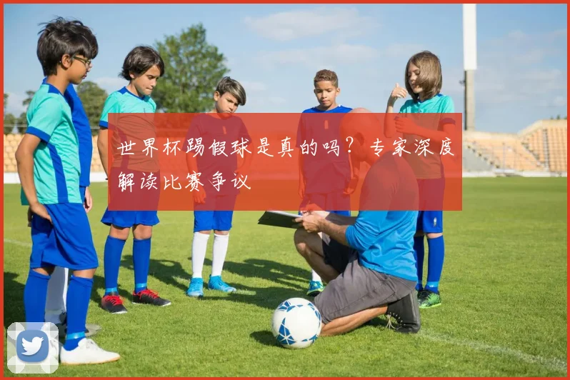 世界杯踢假球是真的吗？专家深度解读比赛争议