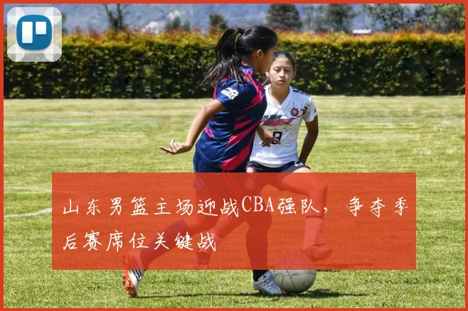 山东男篮主场迎战CBA强队，争夺季后赛席位关键战