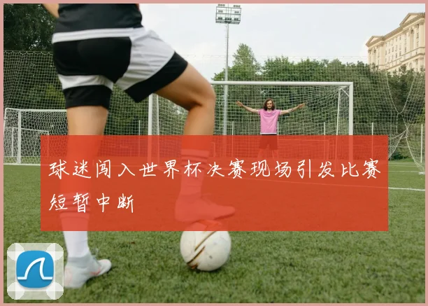 球迷闯入世界杯决赛现场引发比赛短暂中断
