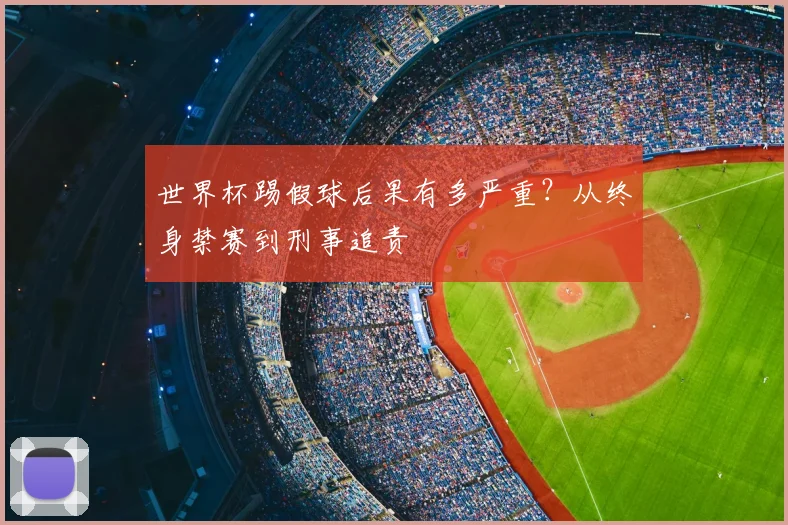 世界杯踢假球后果有多严重?从终身禁赛到刑事追责