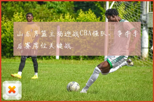 山东男篮主场迎战CBA强队，争夺季后赛席位关键战