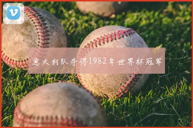 意大利队夺得1982年世界杯冠军